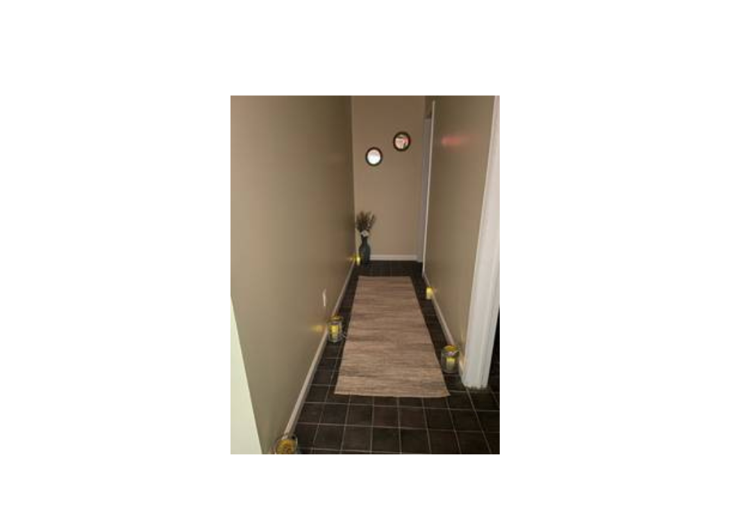 A hallway featuring a decorative rug and a closed door at the end, creating a welcoming atmosphere.